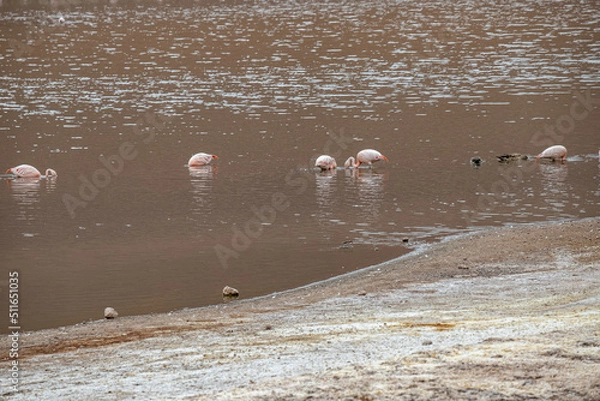 Fototapeta beach in the sea