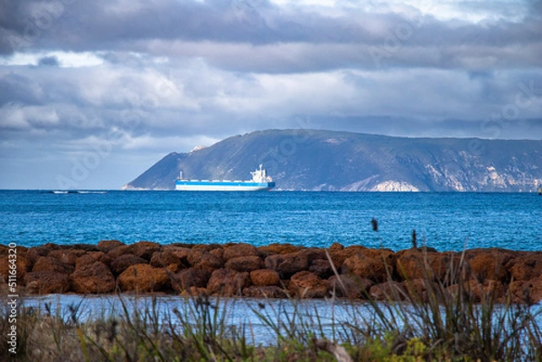 Obraz Looking out to sea