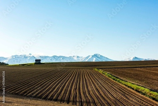 Fototapeta 畝と小さな小屋
