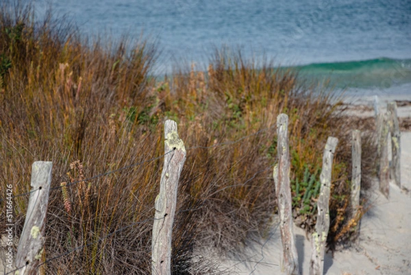 Obraz Down to the Beach