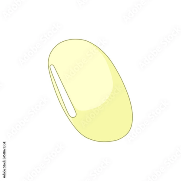 Fototapeta 白小豆一粒