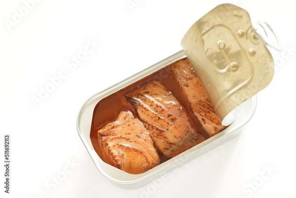 Obraz Canned food, grilled salmon fillet with copy space 