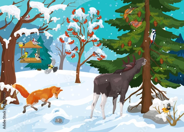 Obraz Vector illustration forest animal life in winter