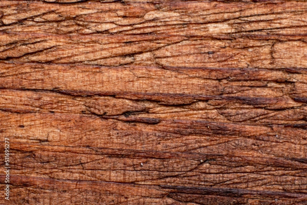 Fototapeta Texture of old wood close-up. Can be used as a background.