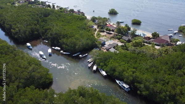 Fototapeta Aerial view of the mangrove forest on Junggut Batu, Nusa Lembongan. There are several fisherman's houses around there. White sand beach with pristine seawater. Mangroves look thick and healthy