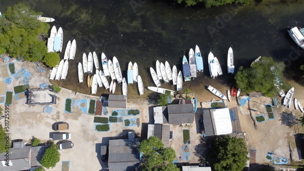 Fototapeta Aerial view of the mangrove forest on Junggut Batu, Nusa Lembongan. There are several fisherman's houses around there. White sand beach with pristine seawater. Mangroves look thick and healthy