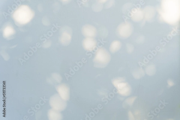 Obraz The wall of the fence is shadowed by sunlight shining through the trees and hitting circles like bokeh.