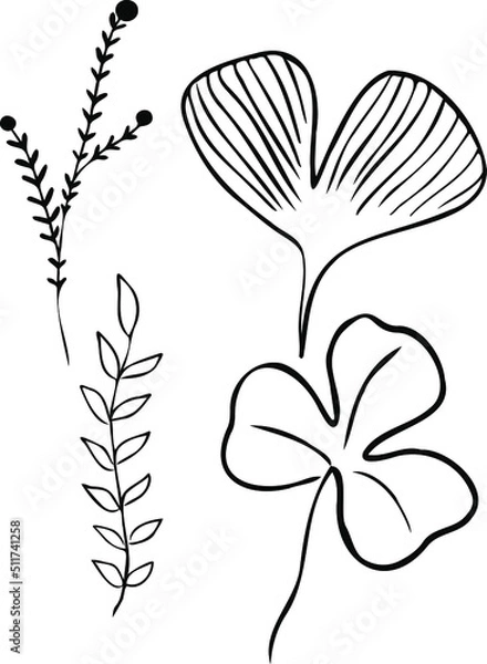 Fototapeta Vector plant brushes. Artistic decorative element