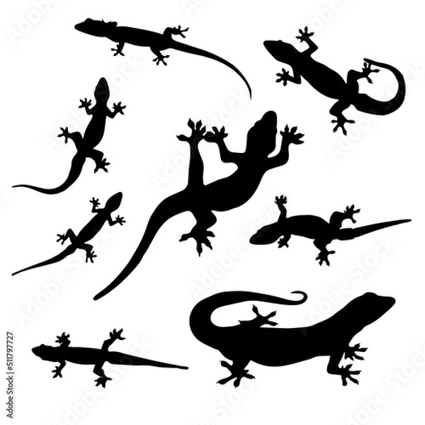 Fototapeta lizard movements sketch collection vectors