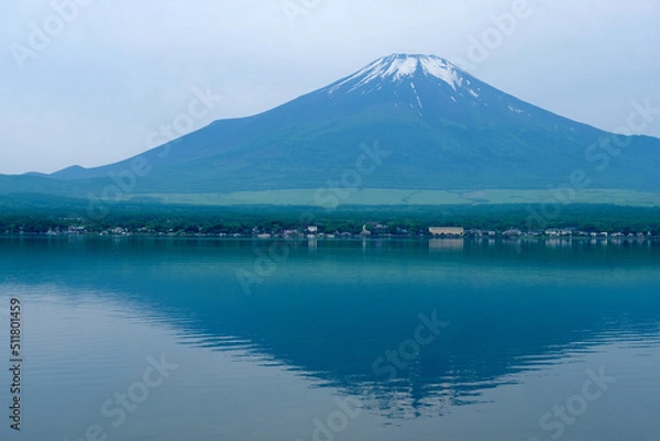 Fototapeta 【山梨】山中湖長池親水公園から見る初夏の富士山