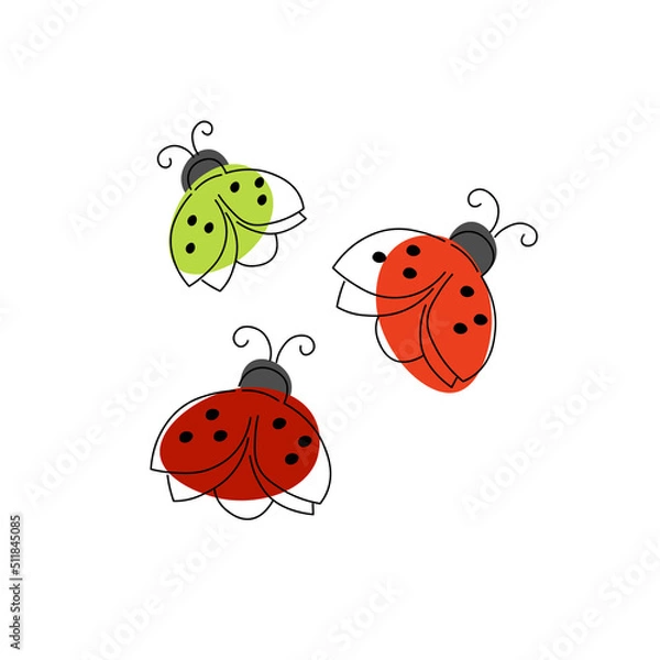 Obraz ladybug on white background