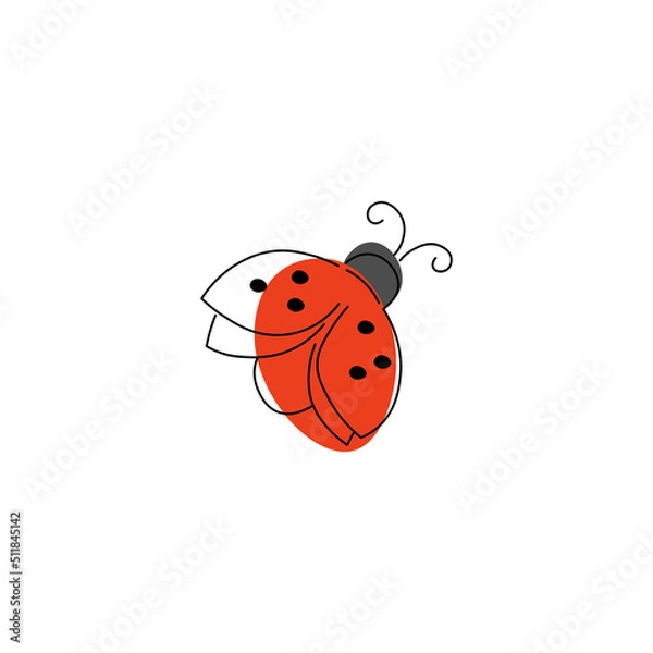 Obraz ladybug on white background