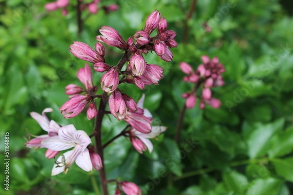 Fototapeta Farbtupfer