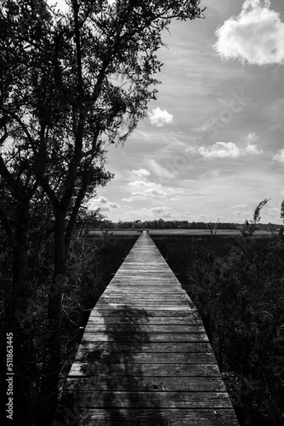 Obraz Lowcountry Life