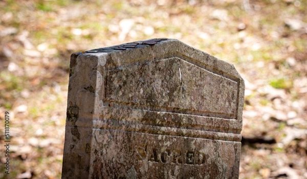 Obraz Lowcountry Life