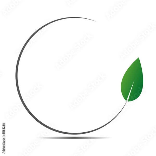 Obraz Green frame with fresh leaf