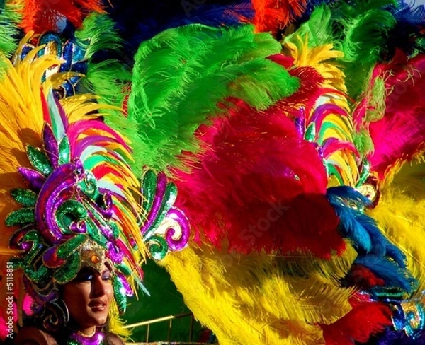 Obraz Rio de Janeiro