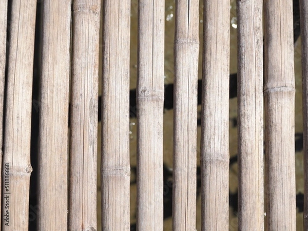 Obraz fence background