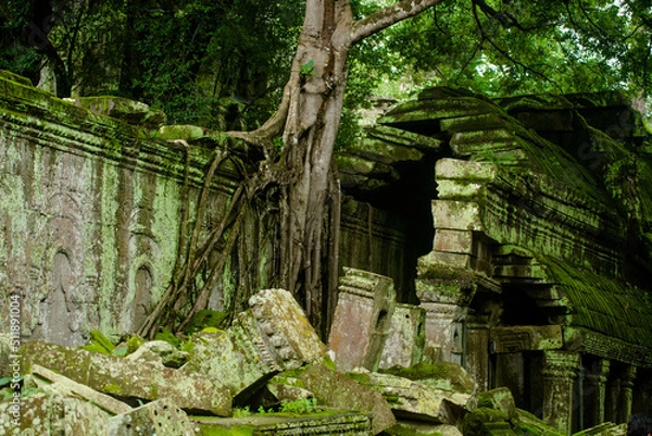 Fototapeta Broken castle walls covered with trees at Ta Prohm Temple, Angkor Wat, Siem Reap, Cambodia
