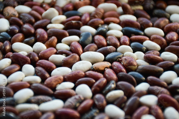 Obraz colorful beans