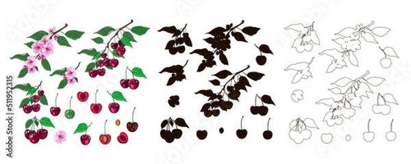 Fototapeta Set of cherries in the cartoon style, outline and black silhouette. Cherry berries, a bunch of cherries, a flowering branch and a branch with a cherry. Fruit. Vector illustration