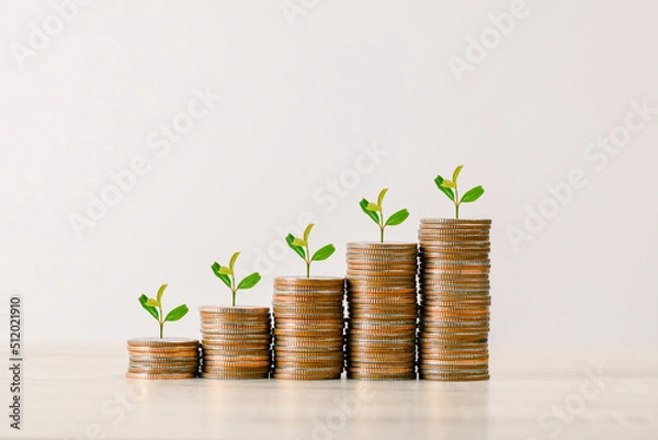 Fototapeta Tree on pile of coins are lined up on the table from small to large size shown in the form of a graph , reward for life ,money growth and business concept