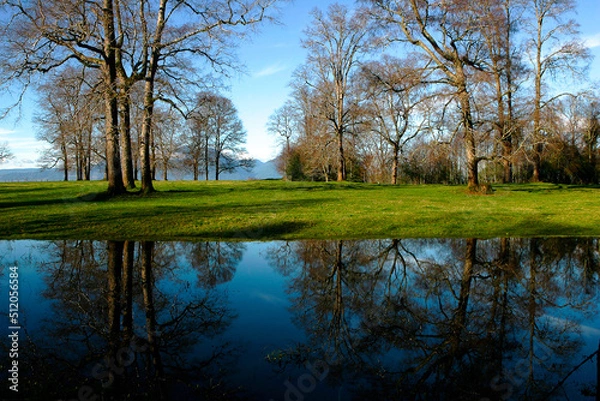 Obraz Bosques en Panguipulli