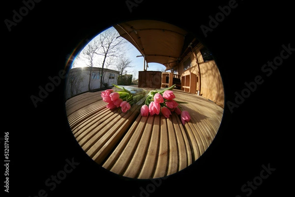 Obraz red tulips in a circle on a black background