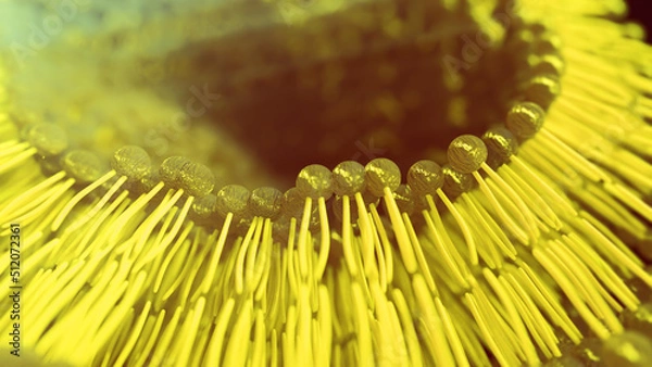 Obraz 3D rendering lipid bi-layer cell anatomy - 3D Rendering