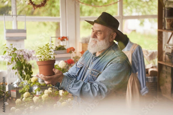 Fototapeta Happy old man enjoying work in own flower shop