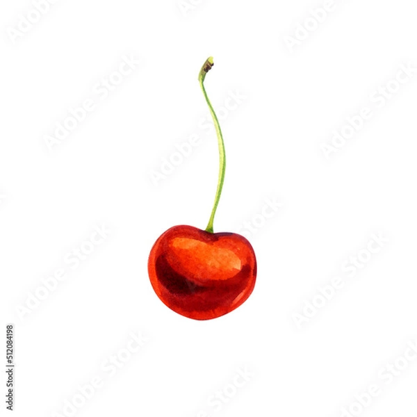 Fototapeta One red cherry on a white background. Watercolor.