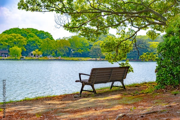 Fototapeta 【福岡】大濠公園の池のほとりのベンチ