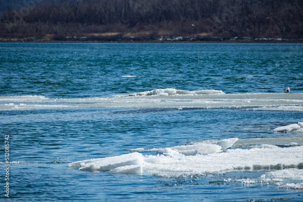Fototapeta Ice and sea. Blue sea with pieces of ice on the surface of the water.