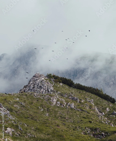 Obraz Vögel über dem Berg