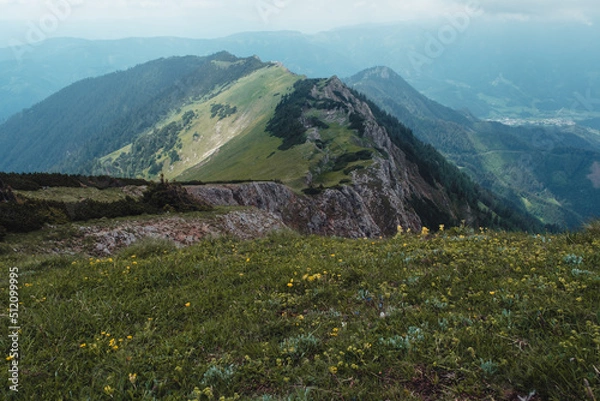 Obraz Berggrat am Reitling, Steiermark