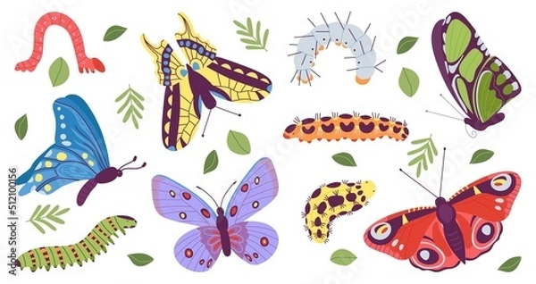 Fototapeta Caterpillar and butterfly. Pupa caterpillars and beautiful butterflies. Baby insects wildlife, isolated spring summer garden flying characters, decent vector kit