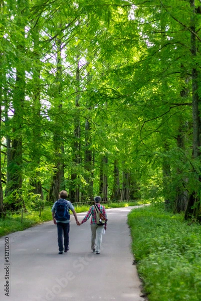 Fototapeta Straße - Wald