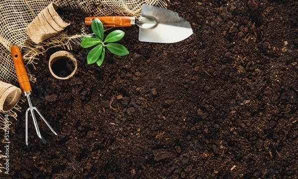 Fototapeta Garden Background Very Cool