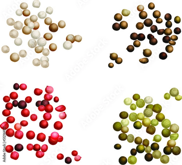 Fototapeta Black, green, white, and pink peppercorns. Vector flat illustration