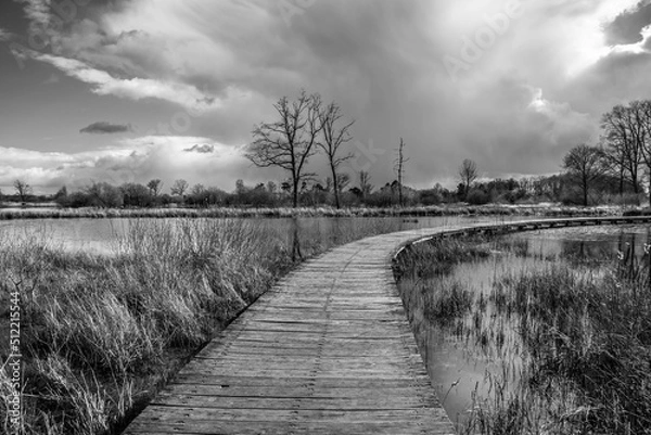 Fototapeta A black and white picture of a landscape with an old wooden bridge over a lake bending to the right, dark clouds trees without leaves and grass and reed in the water