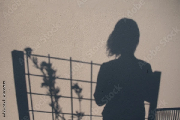 Fototapeta A blue, black silhouette of a woman on a yellow, white wall with also the shadow of a rack and flowers and a little tree