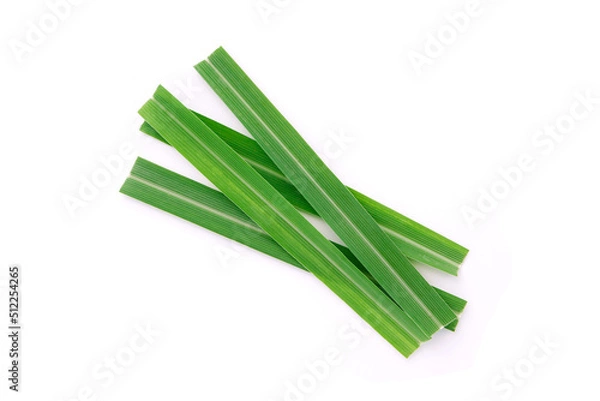 Obraz Lemongrass leaf isolated on white background.