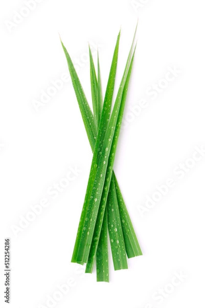 Obraz Tip of lemongrass leaf has water drop isolated on white background.