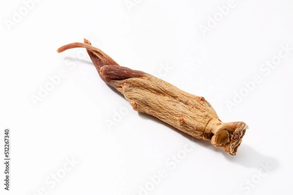 Obraz oriental medicine