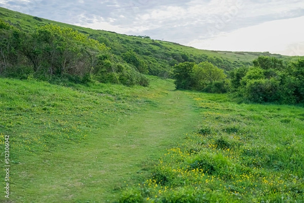 Fototapeta Beautiful path on the slope through the green bushes. The path along the bright green slopes. Fairytale view.