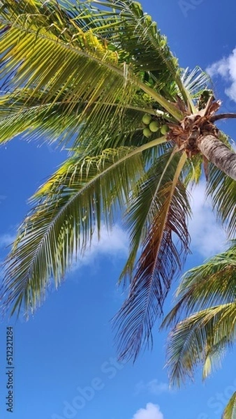 Obraz PALAWAN - PHILIPINES 