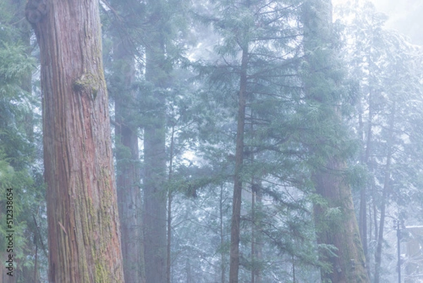 Fototapeta 冬景色