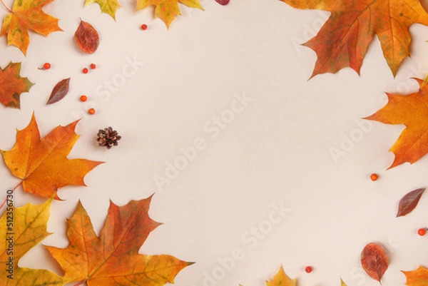 Fototapeta Frame of colorful red and yellow autumn leaves with cones and rowan berries on trendy beige background. First day of school, back to school, fall concept. 