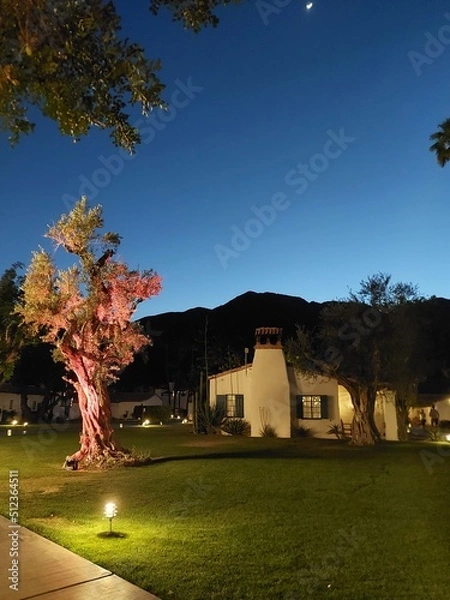 Fototapeta Lighted tree with a house in the background
