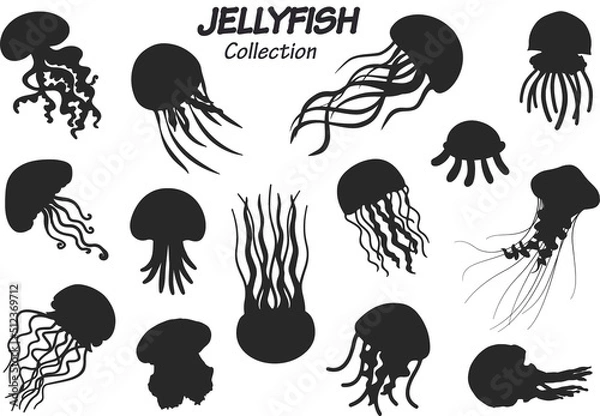 Obraz jellyfish silhouette collection